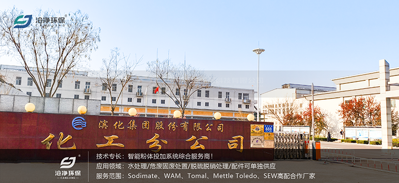 滨化集团-分公司.png
